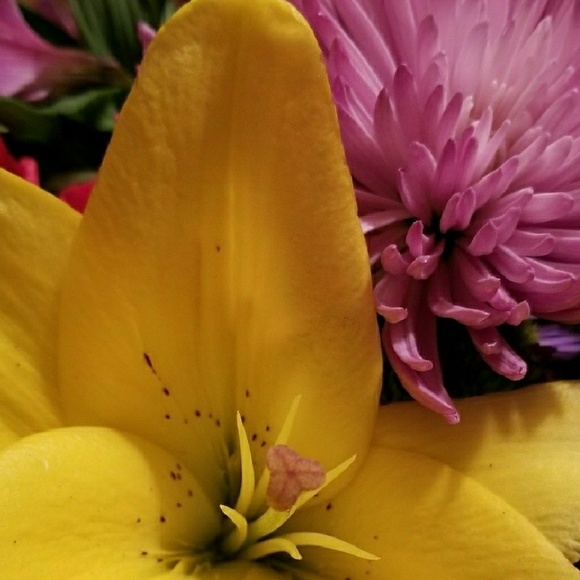 Vintage Jewelry - Removed